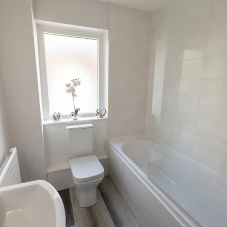 Host & - Shipwright Whitby