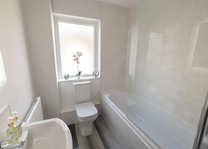 Host & - Shipwright 惠特比